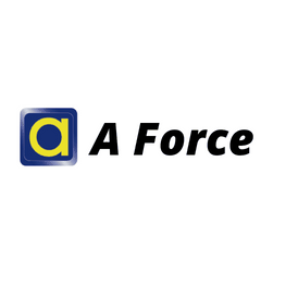A Force Manufacturing Ltd. 128X64M-80F 1GB