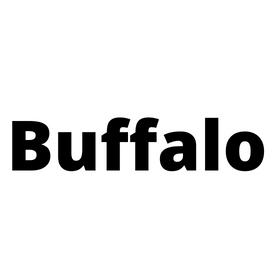 Buffalo (Formerly Melco)  2GB