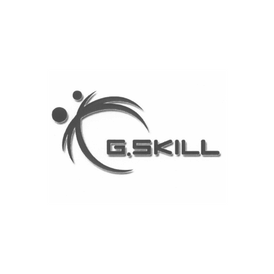 G Skill Intl F4-3200C16-8GVKB 8GB