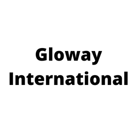 Gloway International (HK) WAR1600CL11SHB8GB 8GB