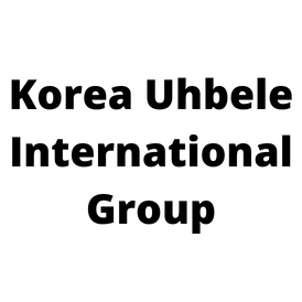 Korea Uhbele International Group Ltd. DDS3 1600K 4GB LV 4GB