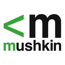 Mushkin 996805BLACK 2GB