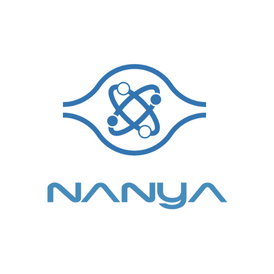 Nanya Technology NT1GT64U8HB0BN-3C 1GB