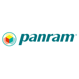 Panram International Corporation PSD31600C118G2VS 8GB