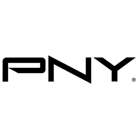 PNY Electronics PNY 2GB