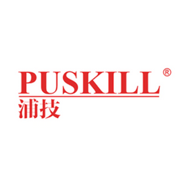 PUSKILL DDR3 1600 8G 8GB