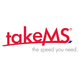 takeMS International AG TMS1GB264C081-805G 1GB